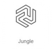 Jungle – Радио Рекорд