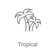 Tropical – Радио Рекорд